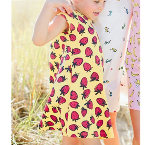 Hanna Andersson Other - Hanna Andersson Strawberry Dress 🍓 Size 3